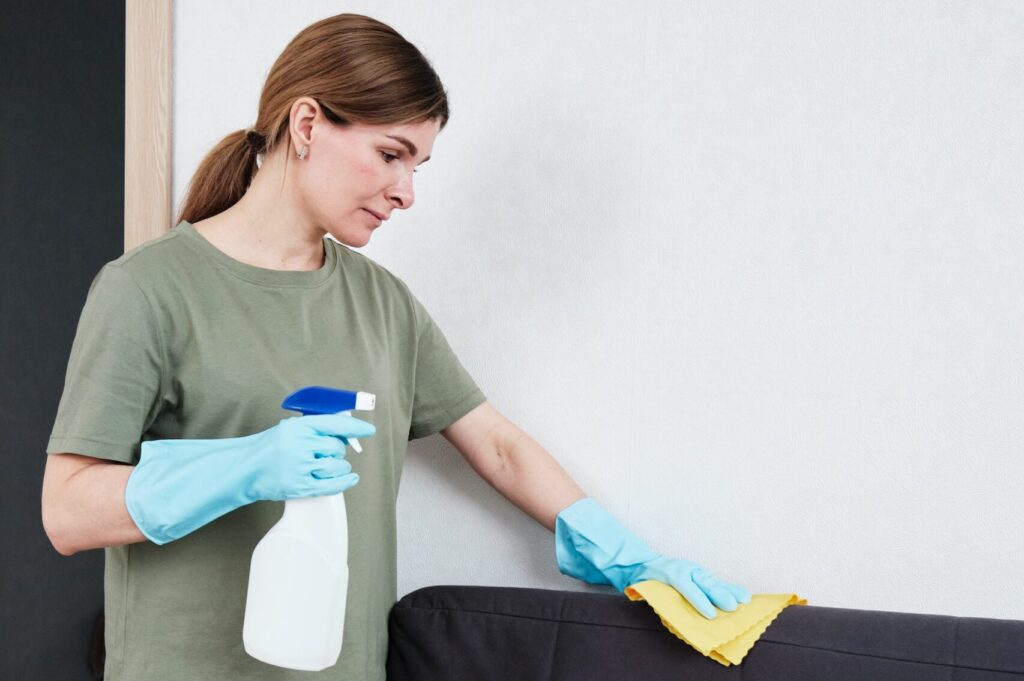 woman cleaning furniture